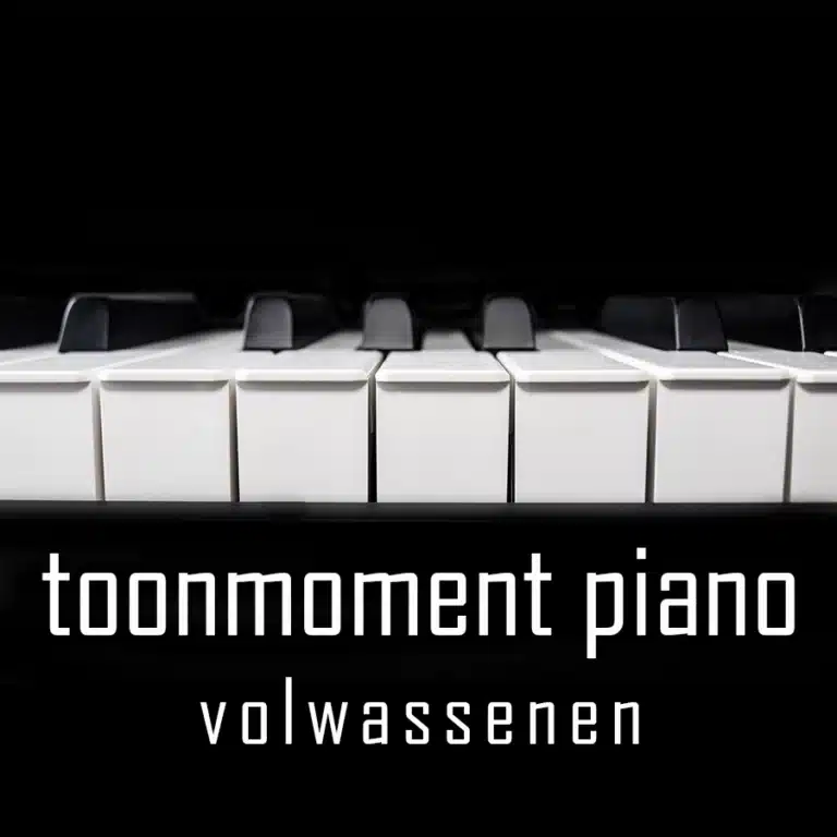 Toonmoment piano volwassenen