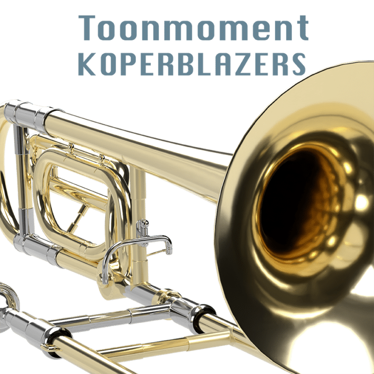 Toonmoment koperblazers