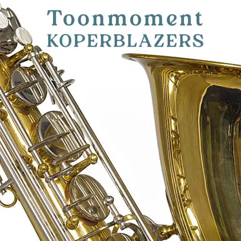 Toonmoment koperblazers