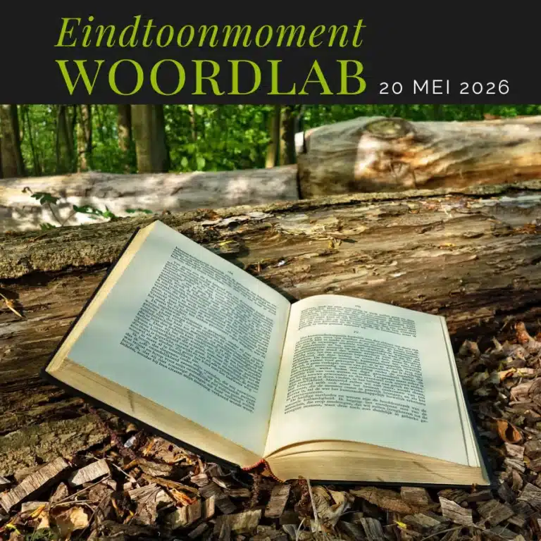 Eindtoonmoment woordlab 3.2