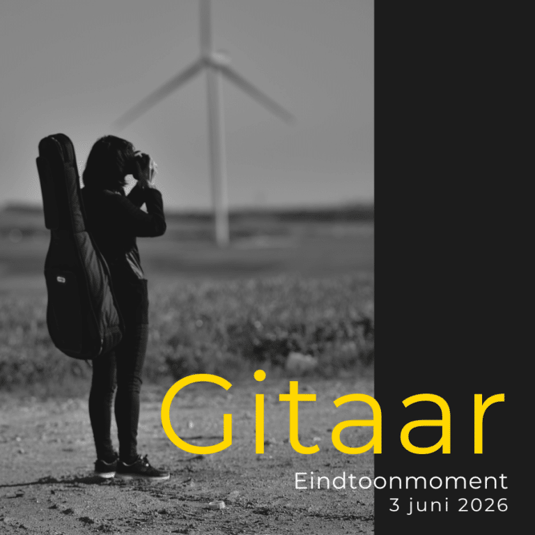 Eindtoonmoment gitaar volwassenen