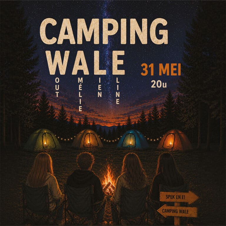 Camping WALE – het eindjaar project van onze 4de graad theater