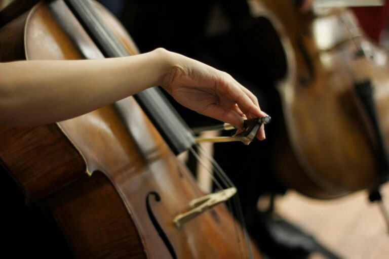 person playing a cello